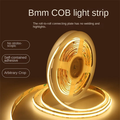 8mm Continuous COB LED Strip – High CRI, Flicker-Free, Ultra Bright & Flexible Linear Light 🌟 Professional-grade lighting in a slim, seamless, and easy-to-install form.