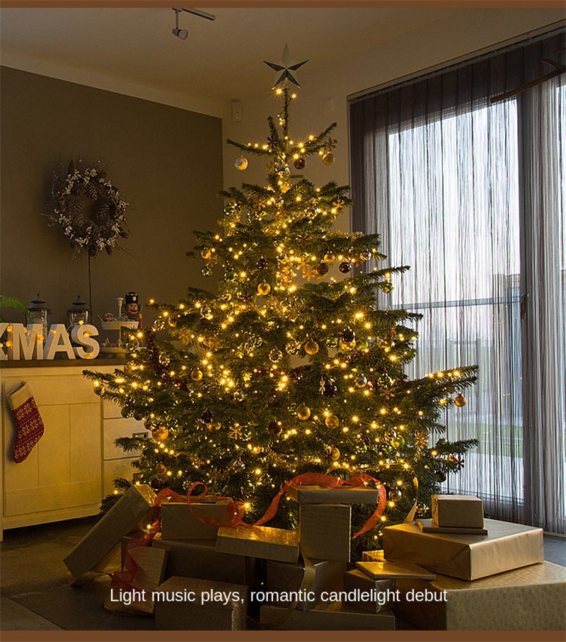 LED Remote Control Christmas String Lights Waterproof Copper Wire Fairy Lights for Festive Decor