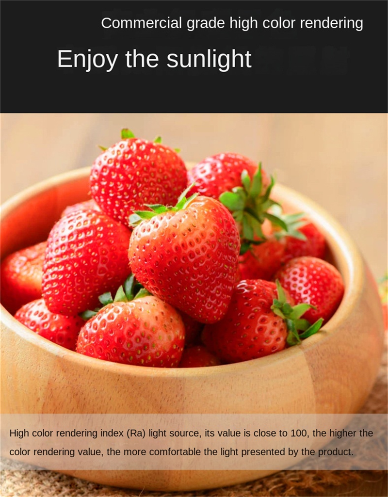 Side-Emitting Surface-Mounted LED Downlight · No-Cut Installation · 3-Color Switchable (Warm/Neutral/Cool) · 5W/7W/12W · Hallway, Bedroom, Living Room