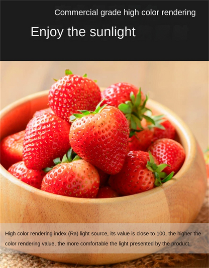 Side-Emitting Surface-Mounted LED Downlight · No-Cut Installation · 3-Color Switchable (Warm/Neutral/Cool) · 5W/7W/12W · Hallway, Bedroom, Living Room