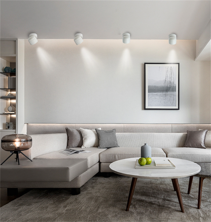 Surface-Mounted LED Spotlight · 360° Rotatable · No-Cut Installation · Anti-Glare Cylinder Ceiling Light for TV Wall, Bedroom, Wall Art & No-Main-Light Design